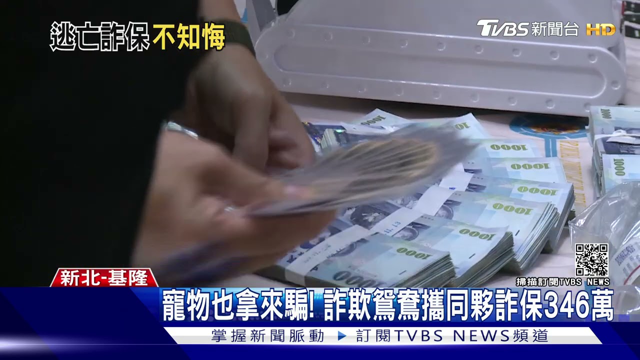 寵物也拿來騙! 詐欺鴛鴦攜同夥詐保346萬