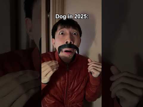 Cat and dog in 2025 #shorts