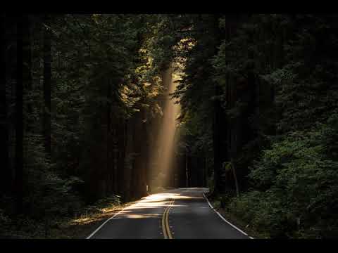 ”Tu ești Domnul meu” David Dincă (One take cover)