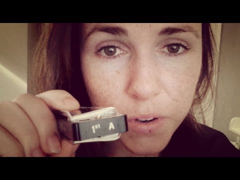 Sandi Thom - Harmonica Lick Of The Week (Week 3)