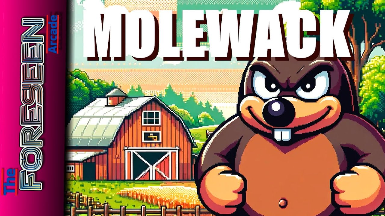Gameplay Video