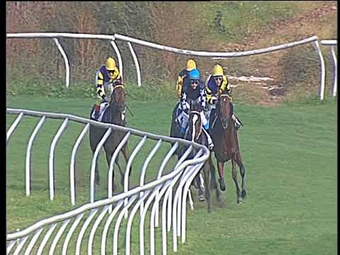Galoppo 19/10/2017 - 3ª corsa