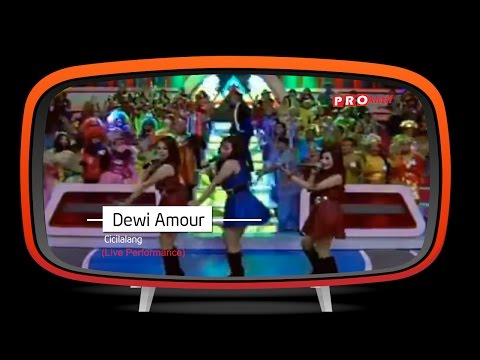Dewi Amour - Cicilalang (Live Performance)