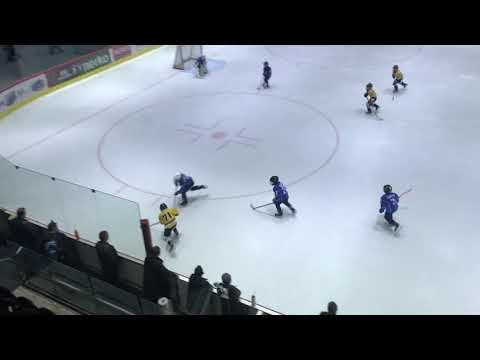 HC Viking/TSK-HC Tornaado F1 28.03.2019(2p)