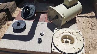 Pentair SuperFlo Pool Pump - Shaft Seal Replacement Tutorial