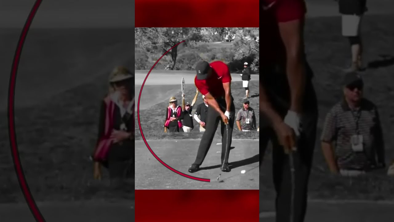 Tiger Woods 🤔 '선데이 레드' 론칭, 단순한 사업 확장일까? 타이거 우즈의 궁극적인 목표 사진