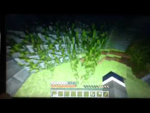 Minecraft Hunger Games Game 221: New Server!