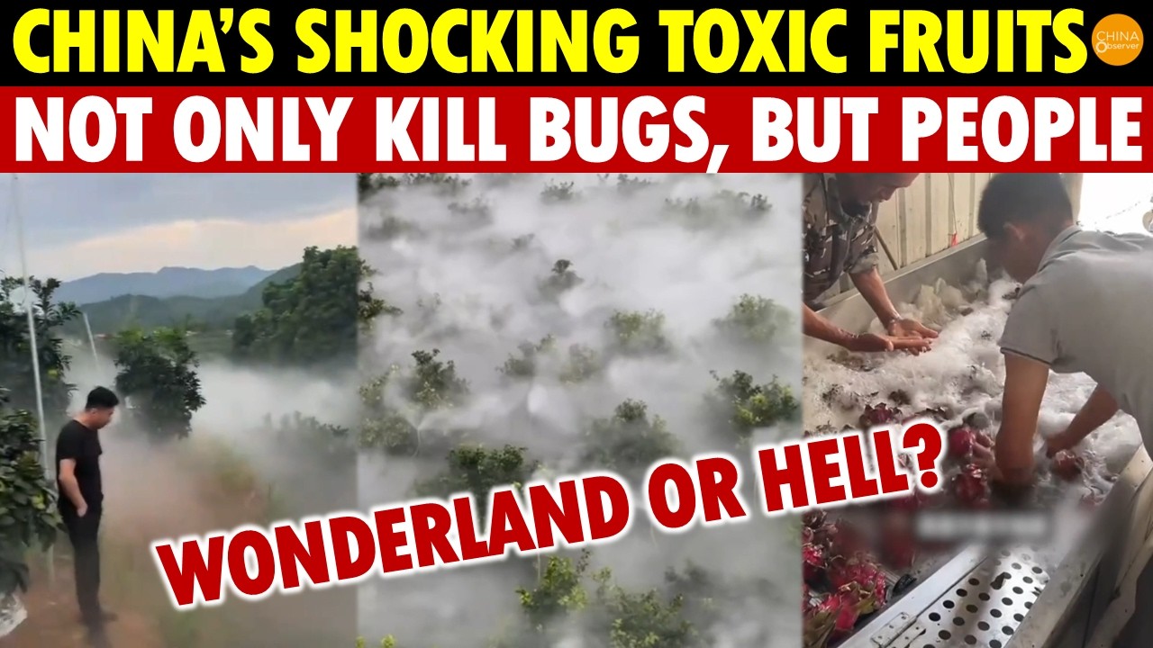 Wonderland or Hell? China’s Shocking Toxic Fruits, Not Only Kill Bugs, But Even People