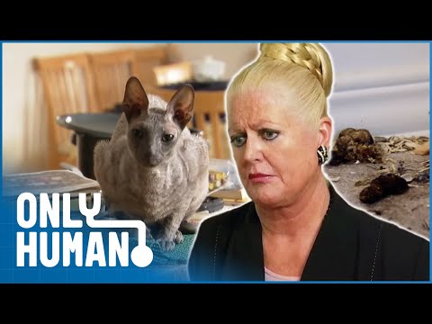 This House Is a ZOO! | Kim’s Rude Awakenings