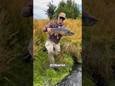 Он ВЫТАЩИЛ групера без удочки😲🌊🐟