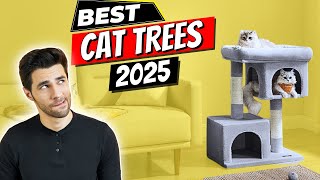 The 8 Best Cat Trees of 2025 | Want the Purrfect Cat Tree? W