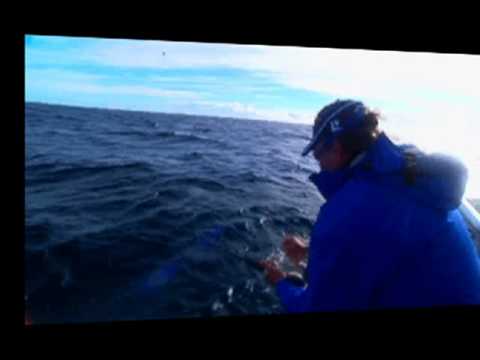 Brief commercial for Starlo Fishing Forever Australia