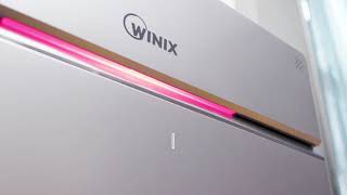 Winix Zero+