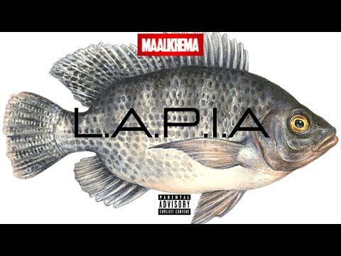 Maalkhema -   L. A. P. I. A  Feat Joblow , Natoo, Neg Lyrical  , Catinayah  & Edson X