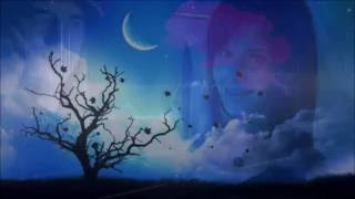 MICHAEL BURKS &quot;IRON MAN&quot;  *  Fire &amp; Water - Lyrics  [HQ] - HD