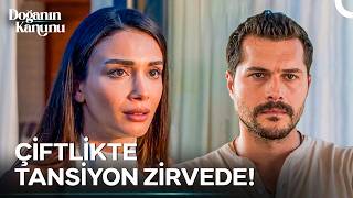 Yaman'ın Sözleri, Doğa'yı Çileden Çıkardı! - Doğanın Kanunu