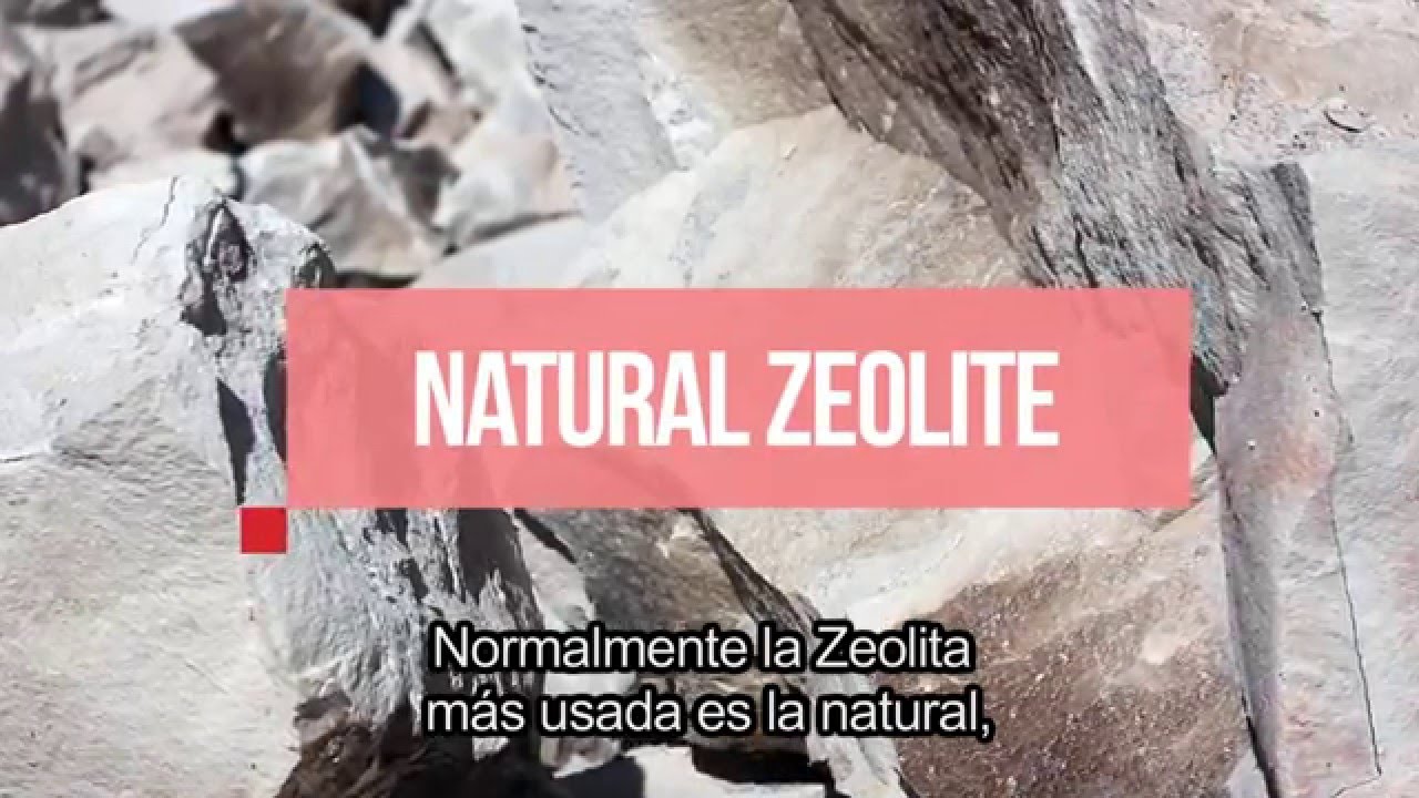 Aditivo Zeolita para Aves video thumbnail