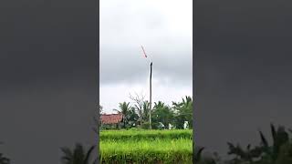 Download lagu dahsyat nya bekas sambaran petir ⚡⚡ pohon kelapa ini hanya tersisa batang nya saja#shrots mp3