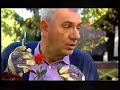 T N Fragment Zapowiedzi Spot Wyborczy I Blok Reklamowy Z Listopada 2006