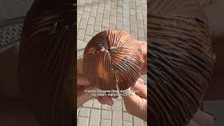 Download lagu I tried the most UNIQUE ice cream in China 🇨🇳🥥 mp3