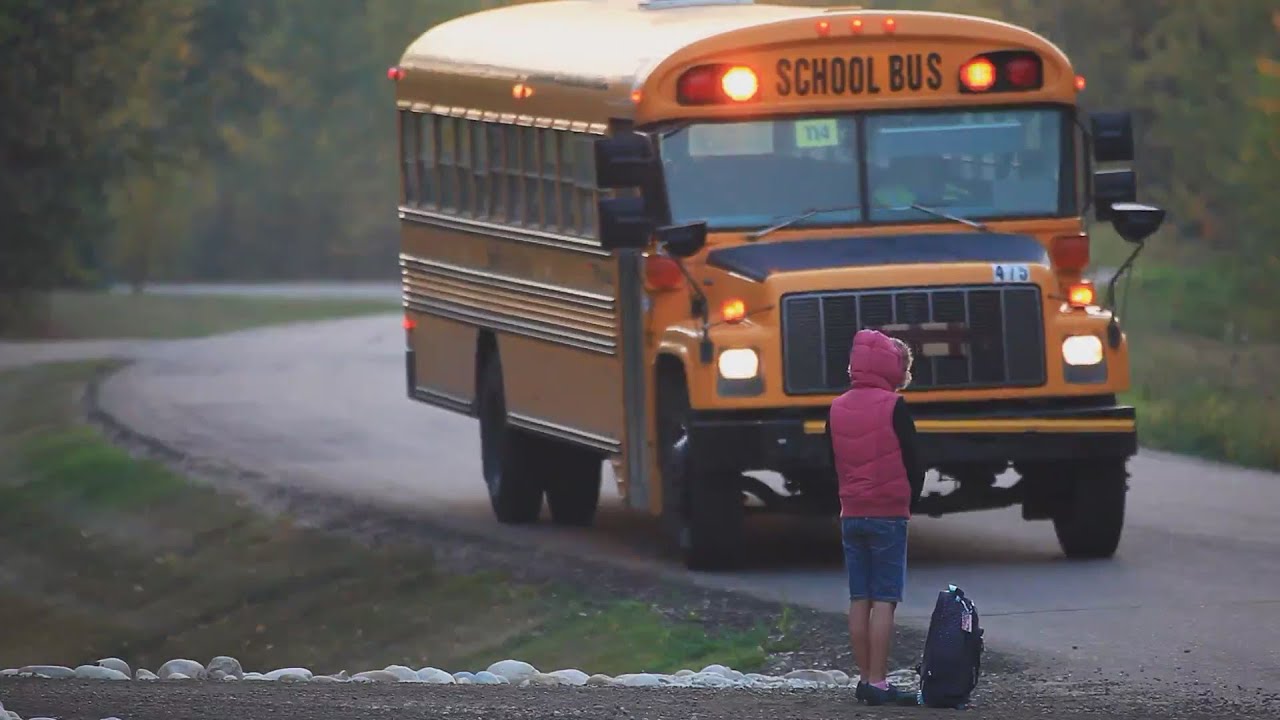 Back to school educational toys for different age groups!