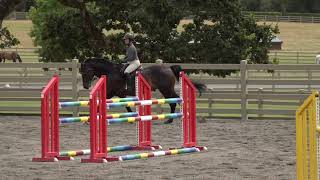 Video koně Coruscant