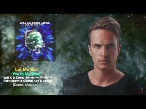 Let Me See You In My Mind (Dannic Mashup)
