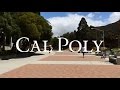 California Polytechnic State University- Cal Poly