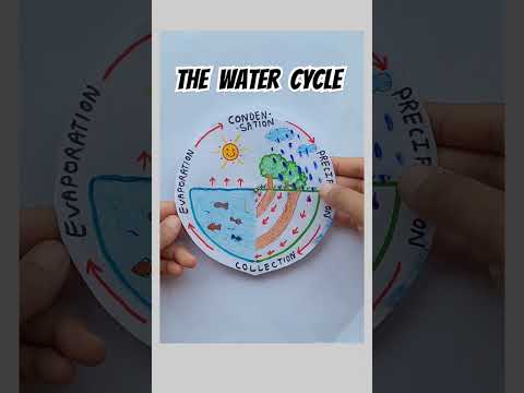 Easy water cycle art #foryou #ytshorts #shorts #watercycle #science #project #drawing