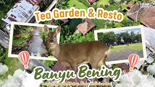Download lagu The Tranquility of Banyu Bening Kemuning Restaurant, Continue Feeding Deer in Sriwedari! mp3 Download lagu The Tranquility of Banyu Bening Kemuning Restaurant, Continue Feeding Deer in Sriwedari! mp3