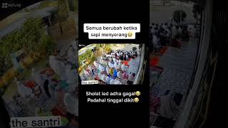 Download lagu selalu ada cerita di setiap hari raya idul adha #iduladha1444h mp3