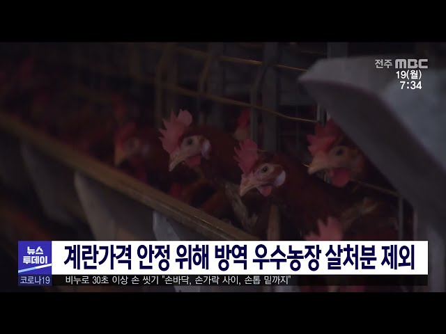 계란가격 안정 위해 방역 우수농장 살처분 제외