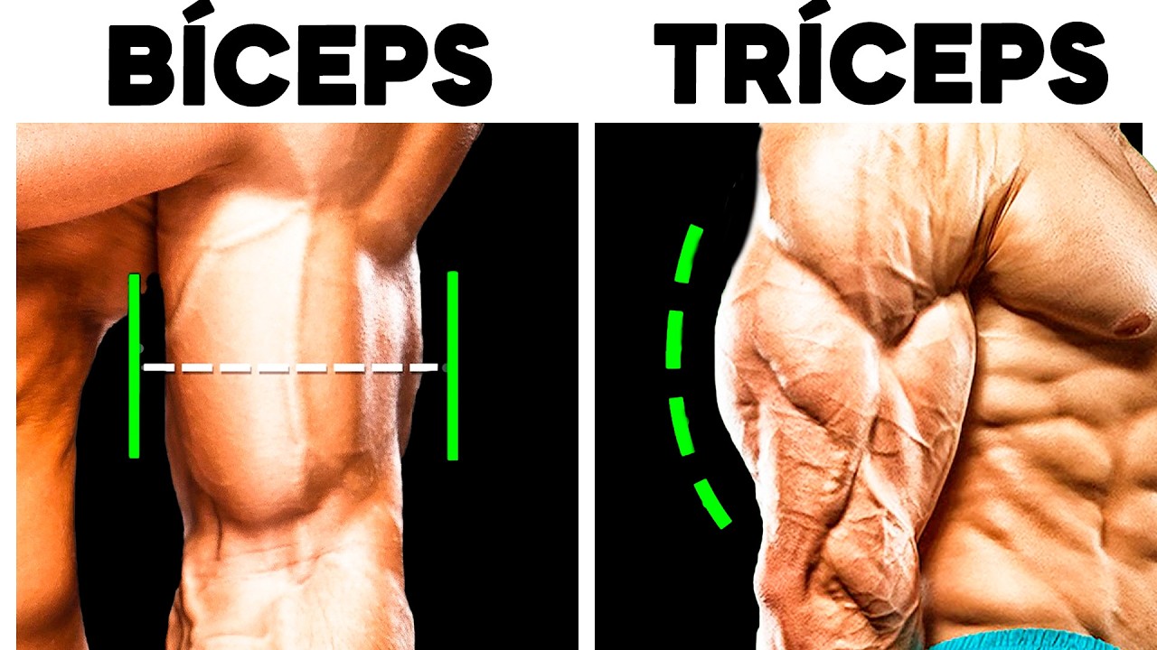 Workout To Get Bigger Arms FASTER!