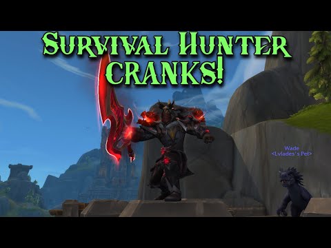 RETURN of the Survival Hunter! SV Hunter PvP - WoW TWW 11.1.5