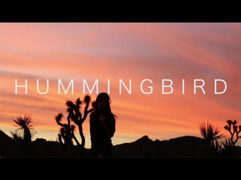 Equanimous - Hummingbird ft. Cyndy Fike