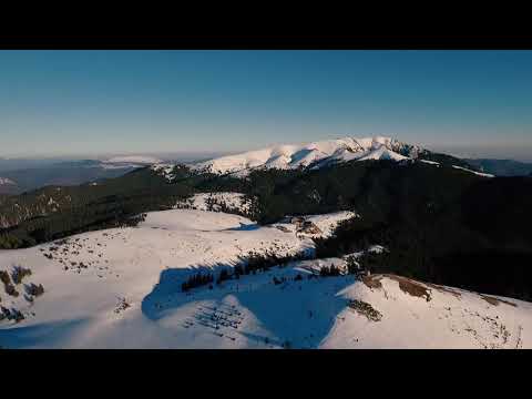 Larisa Anton- Cu gandul acasa