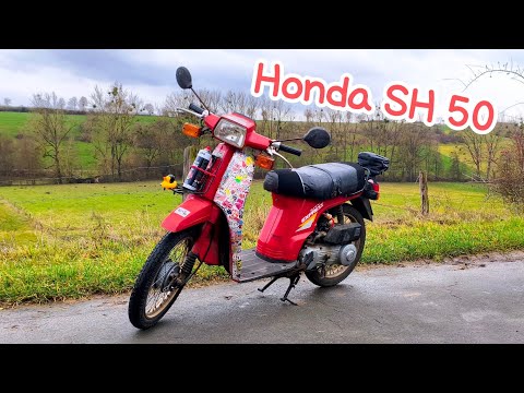 Honda SH 50 City Express | Scoopy