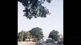 Download lagu KARTONYONO MEDOT JANJI STORY WA mp3