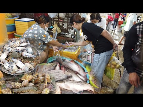 Morning fresh Seafood Market in Cambodia/ Cambodian Street Food