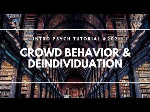 Intro to Social Psychology Intro Psych Tutorial 186