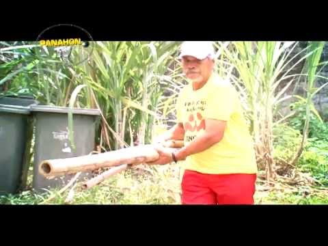 5 magsanay para sa slimming Anita Lutsenko Mula sa beans mawalan ng timbang
