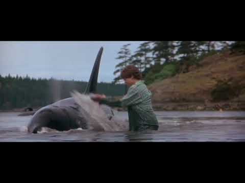 \LUNA\_screen time in free willy2 the adventure home 
