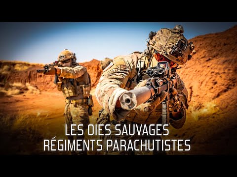 LES OIES SAUVAGES - Chant Militaire⚔️🇫🇷 (avec paroles)