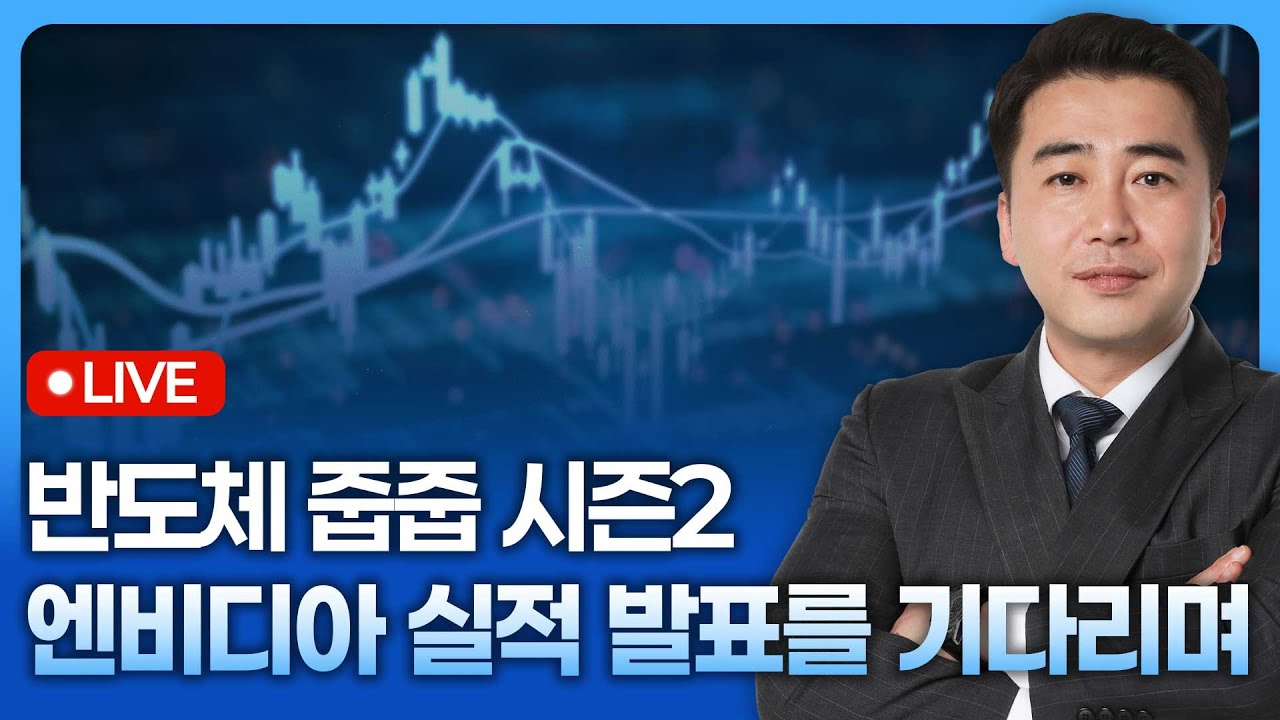뭐해? 반도체 줍줍하지 않고...시즌2! 엔비디아 실적 발표를 기다리며 | 종목쇼 '이경락의 히트존' 251114