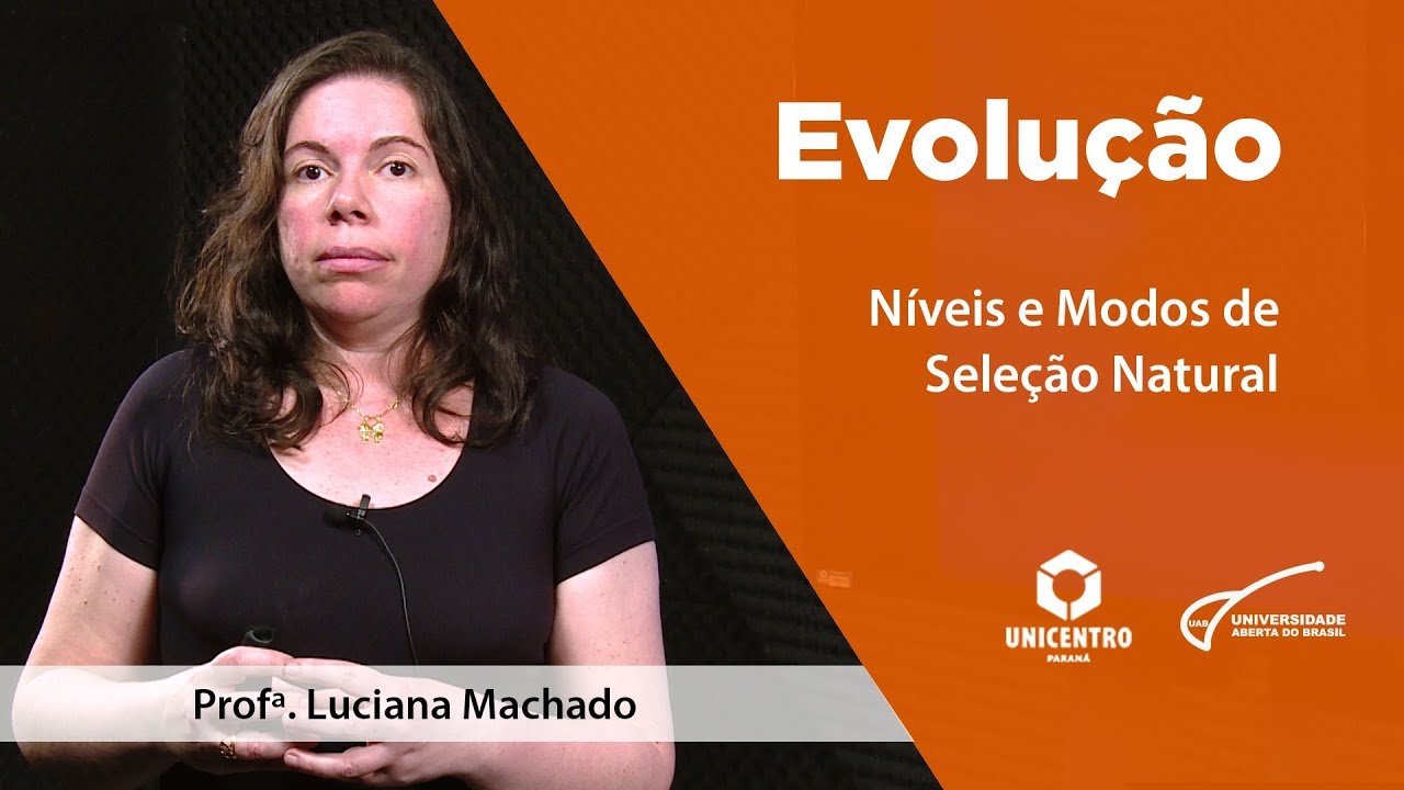 [BIO] Níveis e Modos de Seleção Natural