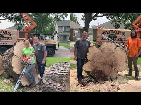 Taylor Tree Care Tulsa