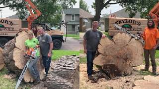 Taylor’s Tree Service in Tiskilwa, IL