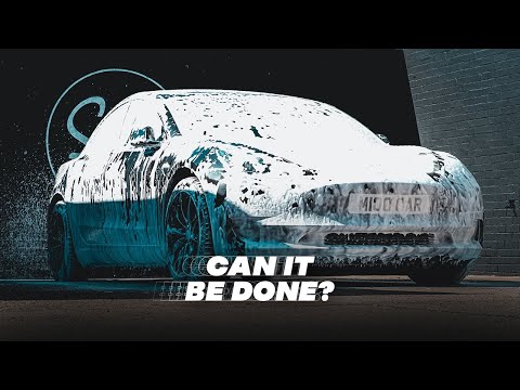 Can I Detail the Tesla in an Hour??