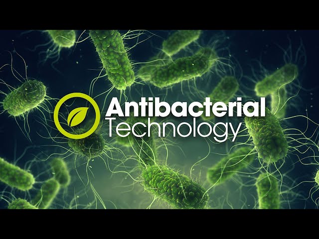 Custodia Antibatterica Trasparente Muvit Recycletek per Apple iPhone 12 Pro Max video