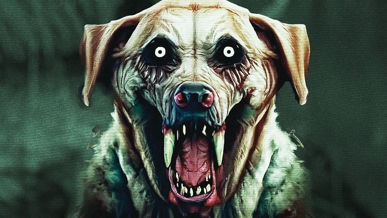 A LENDA DO CHUPA-CABRAS